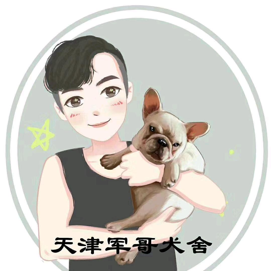 天津军哥犬舍