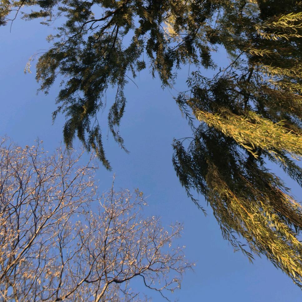 那日北上🌞