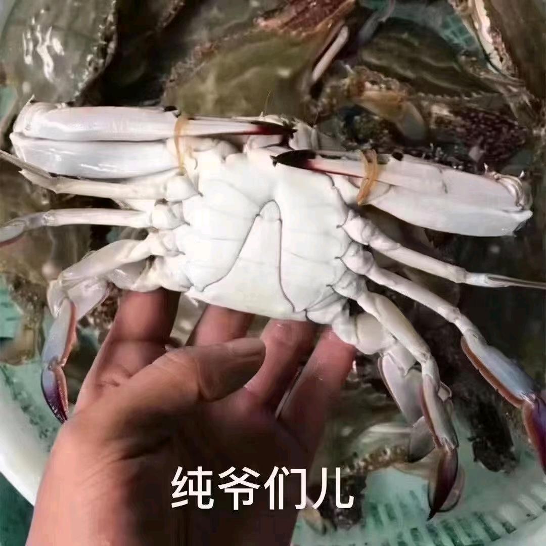 海鲜水产