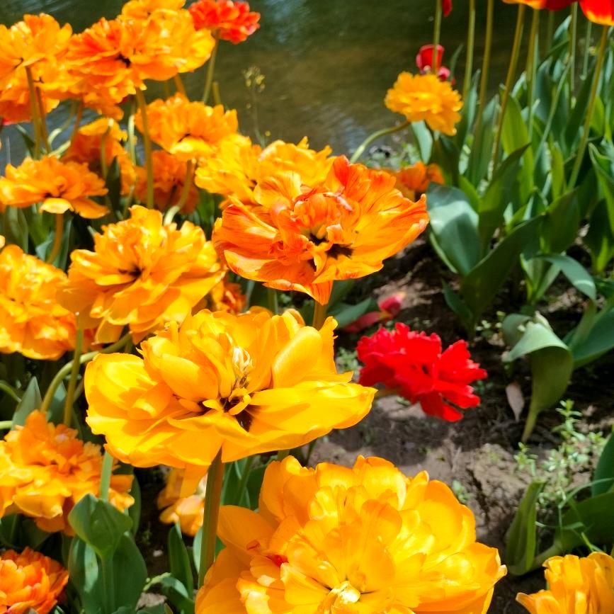 ˚𑁍ࠬܓ˚天道🌸酬秦꧀ᩚ࿐