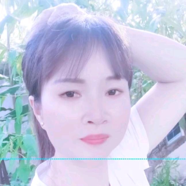 彩蝶