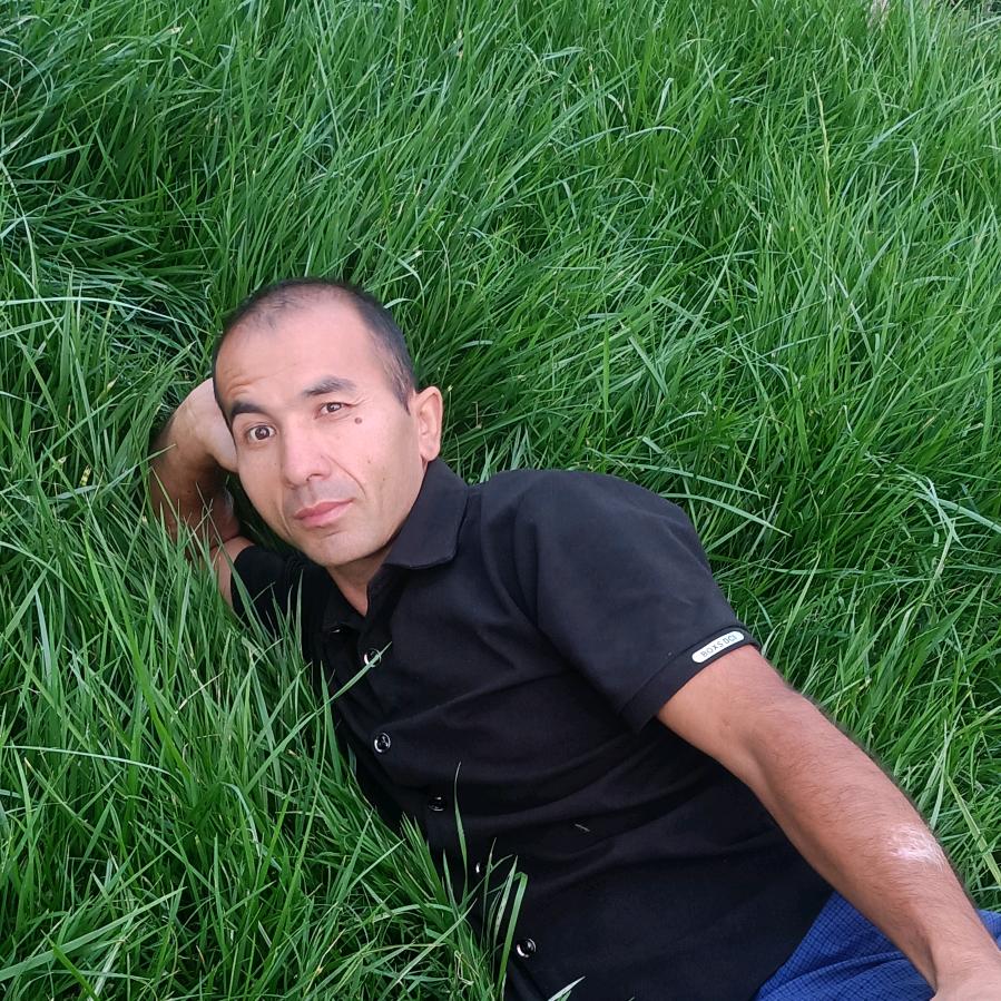 QAYAN 008