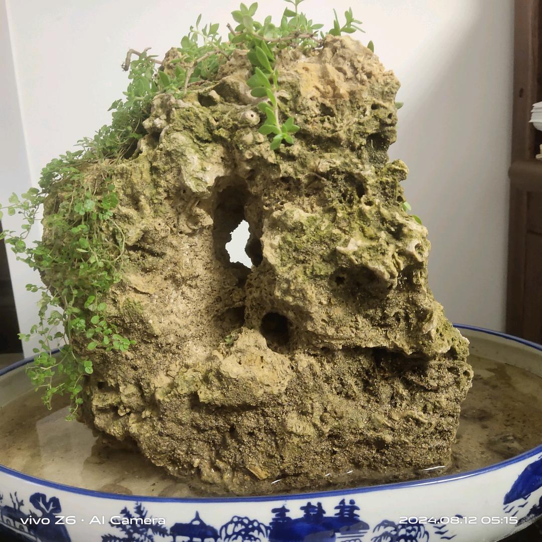 醍醐灌顶