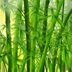 河南专业防水杨师