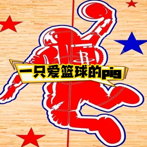 一只爱篮球的pig