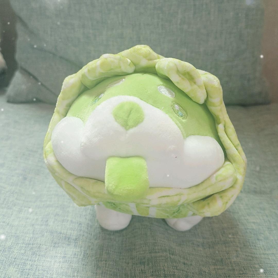 菜狗