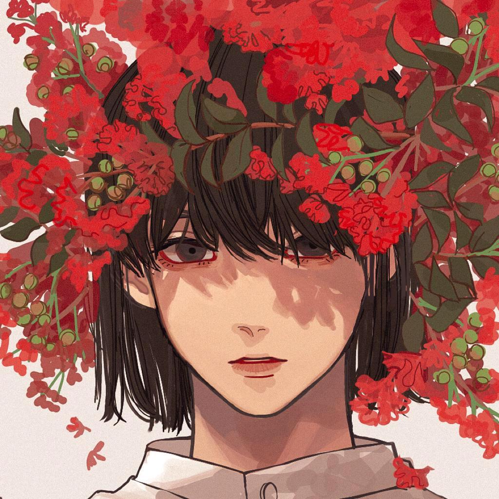 摘星使者（波奇王）