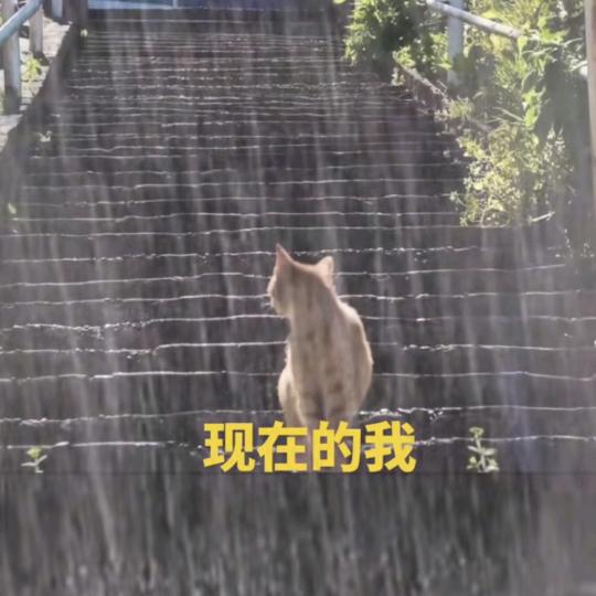 余生还能快乐吗？？？