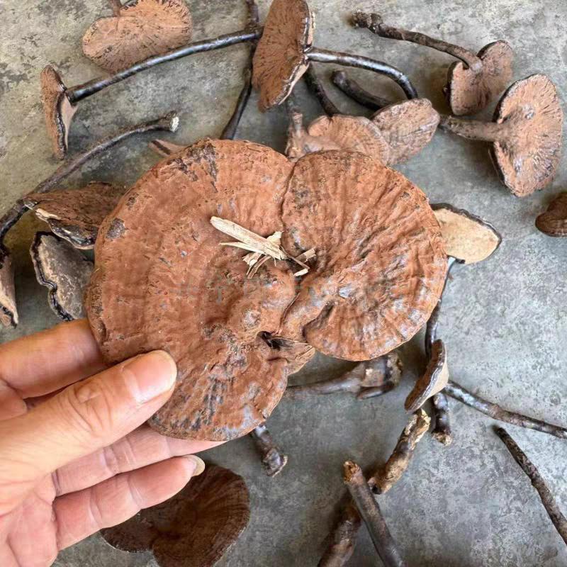 江夏区山坡街道合春渔村-白梅卖店官方号