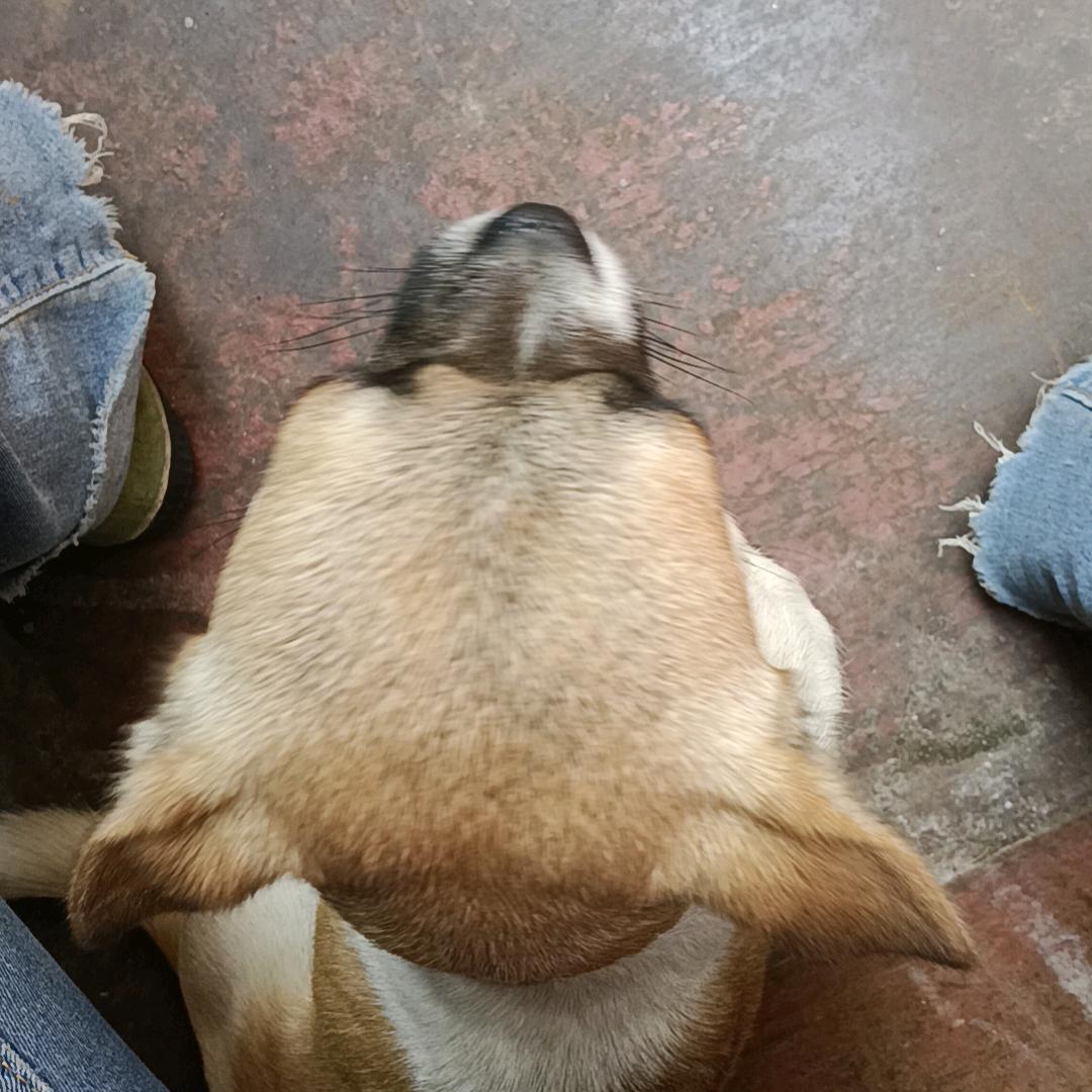 死心塌地💔💔💔