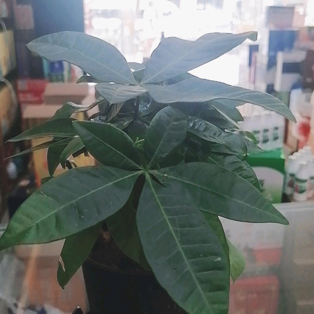 二手家电来合作