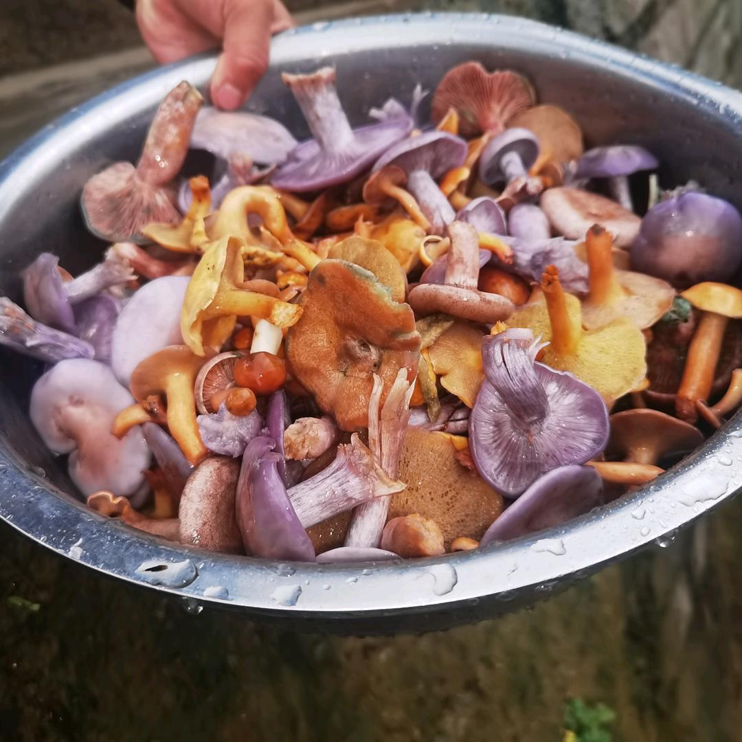 ❤❤❤❤😀😀😀😀情🌹🌹🌹