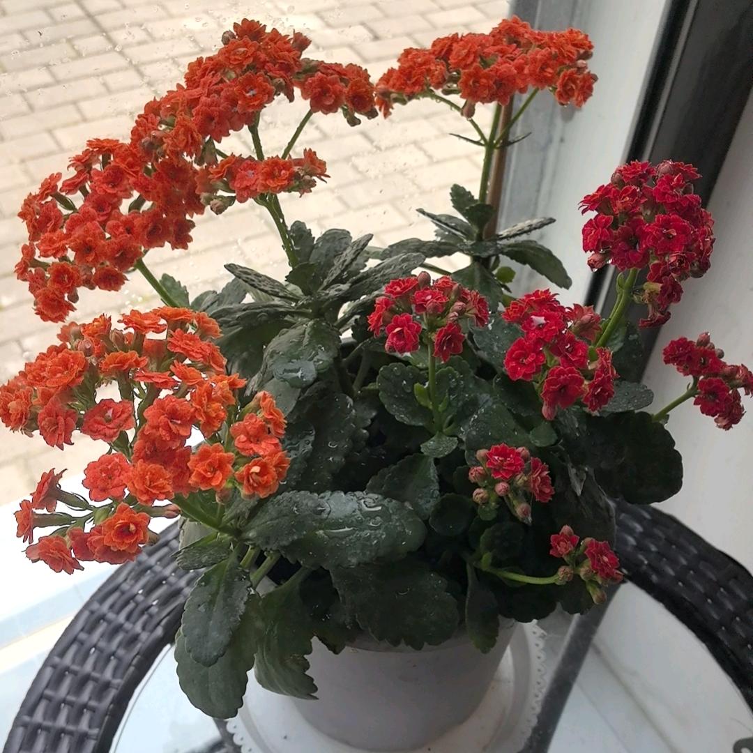 👉过好每一天👈