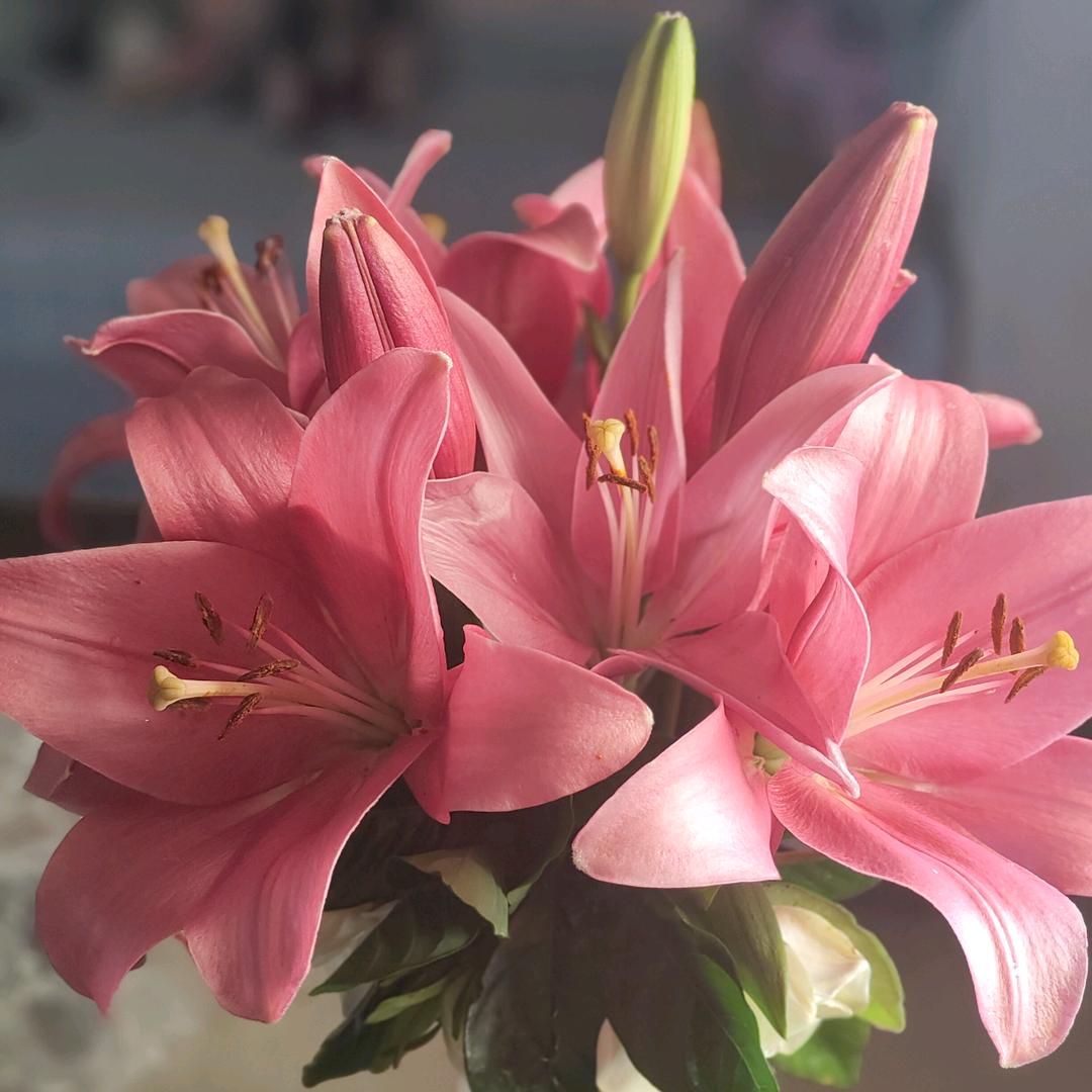 🐟🐟鱼非鱼🐟🐟