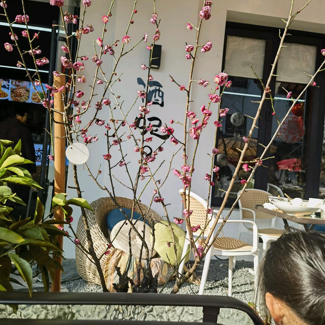 君子兰酒业