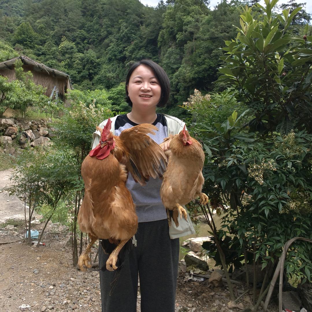 凤姐的创业日记（卖家乡的土货）