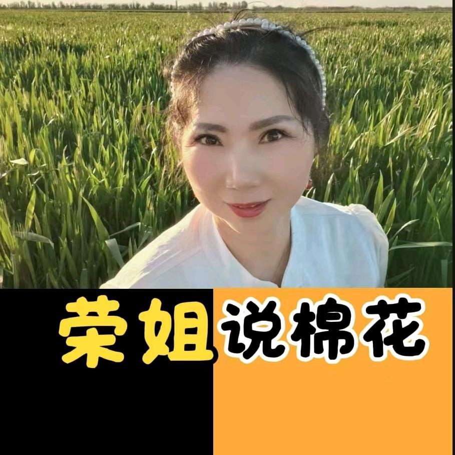 荣姐说棉花