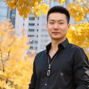 背大象过河的蚂蚁