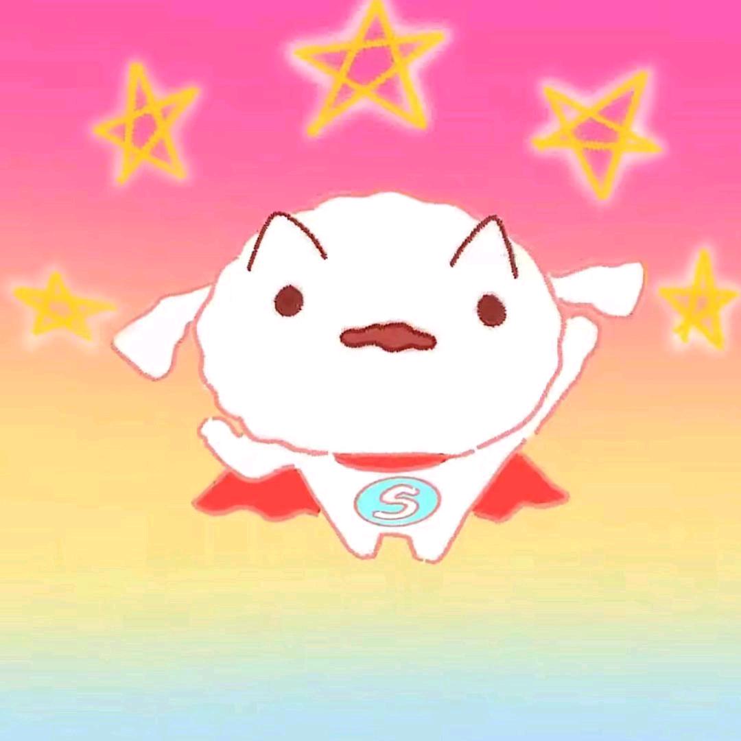 Cisupbh