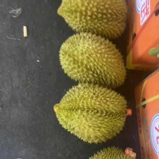 @水果世家