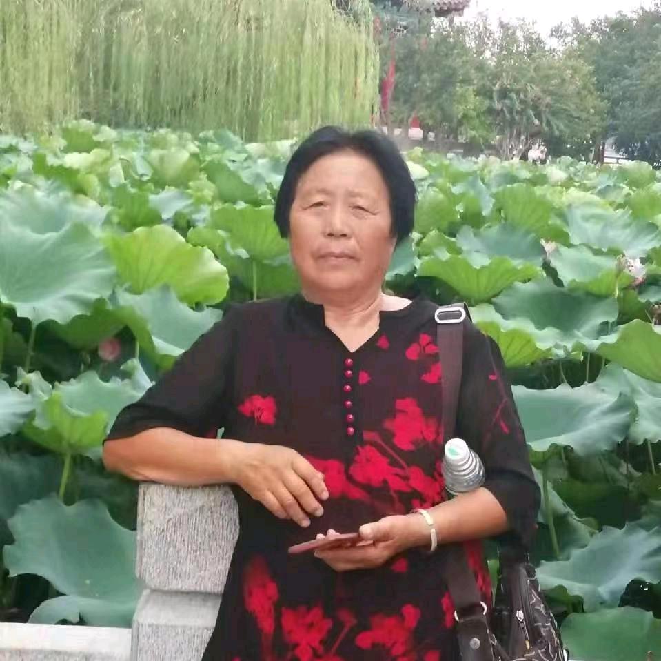 龙