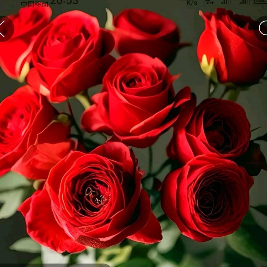 转✿角✿与✿到✿爱