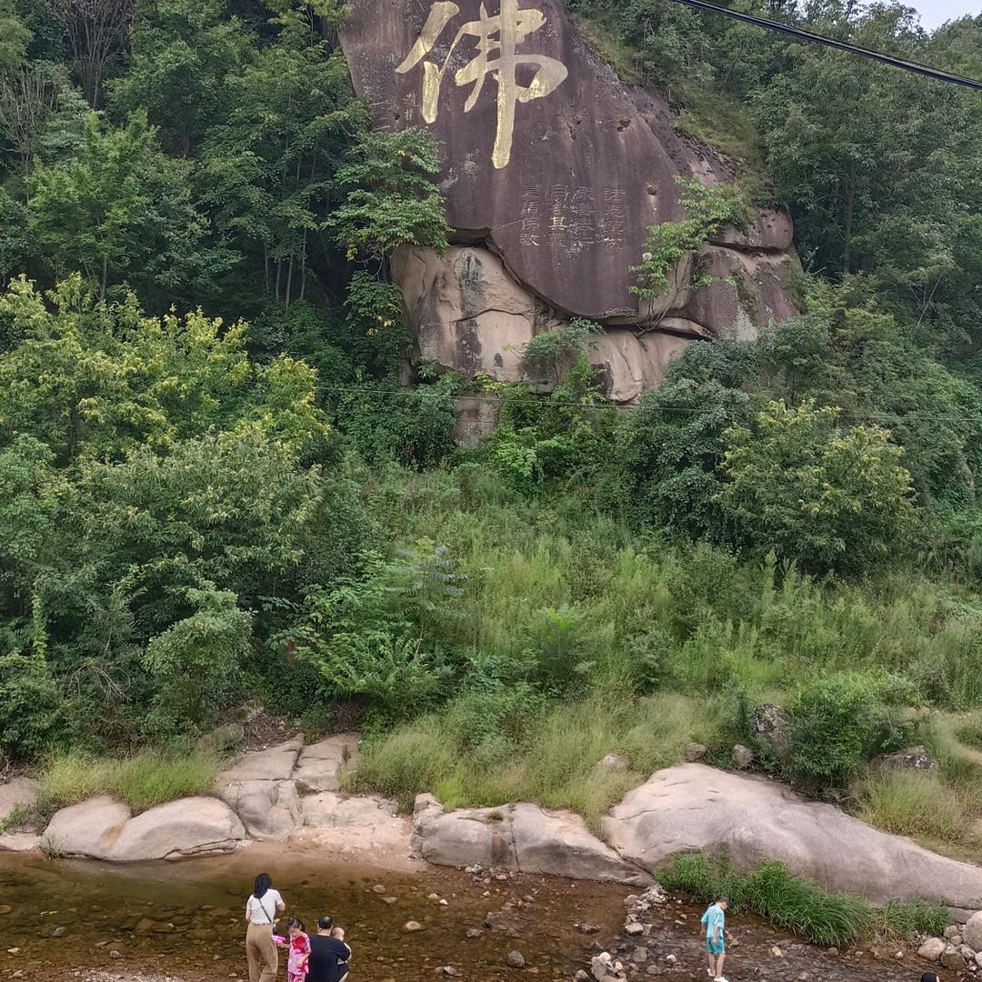 啊亮哥