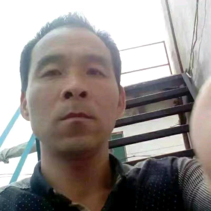 四季来财