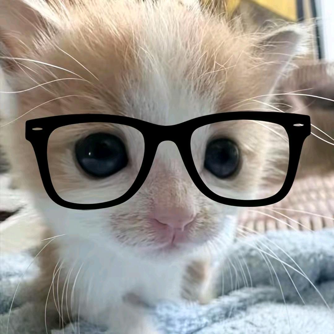 没关系你怎么样都好可爱