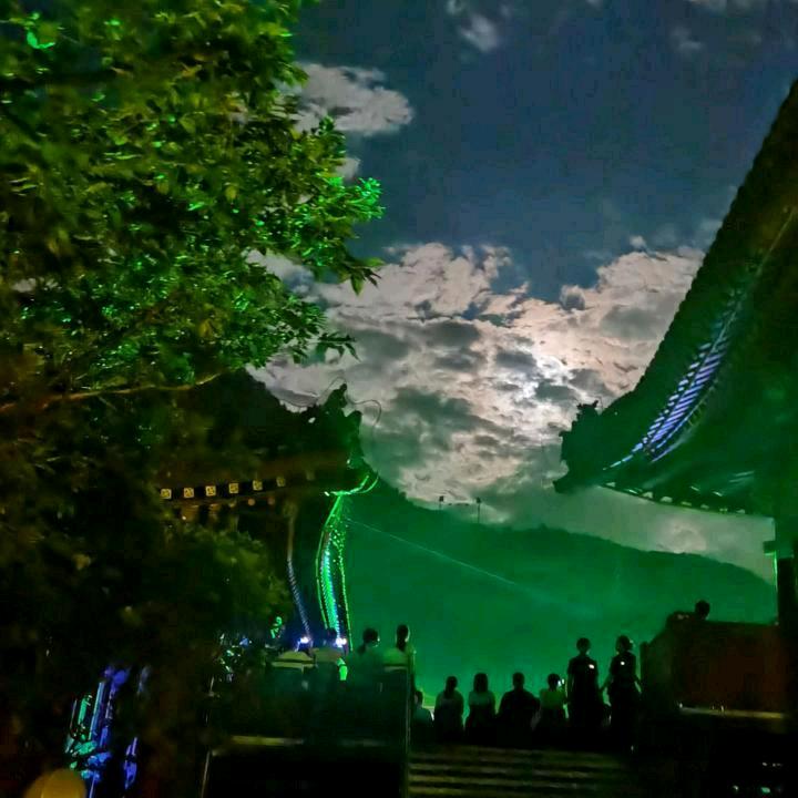 姑娘不动我不动