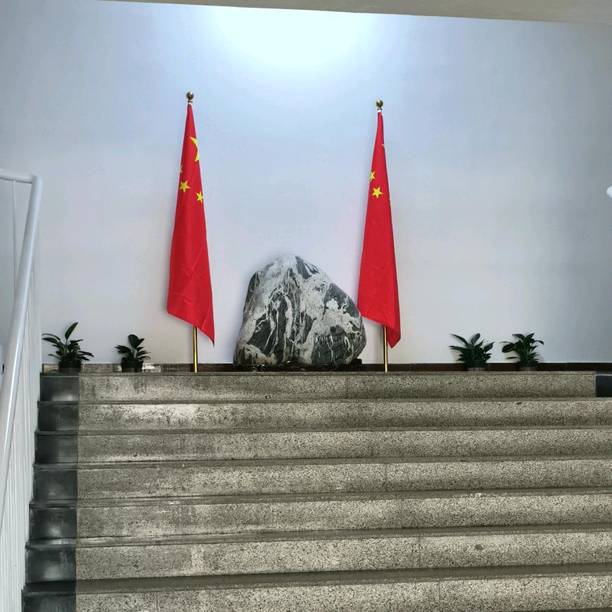 泰安振鑫电器维修服务有限公司
