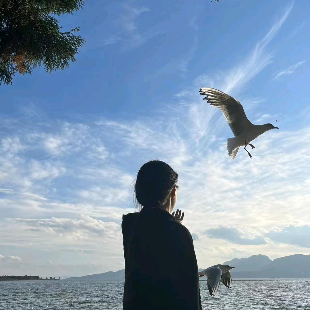 绝爱艺术家