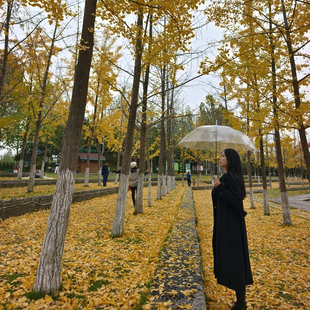是云朵呀