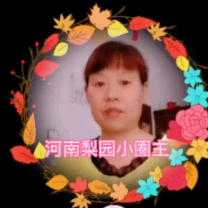 【河南梨园】二姐