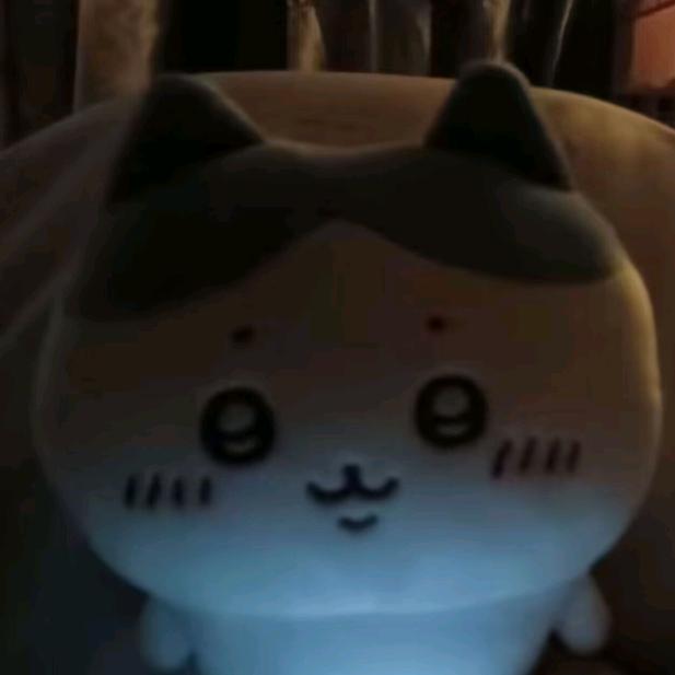 阿81816            🪳