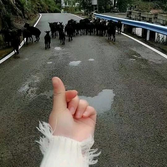 是你就好