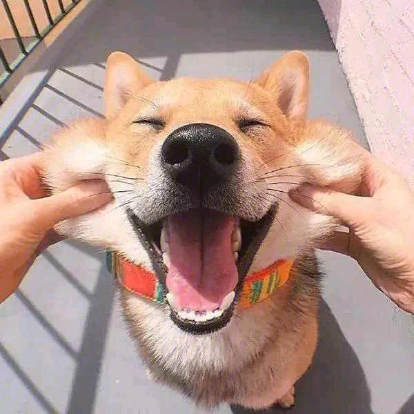 傲慢珊珊爱迟到