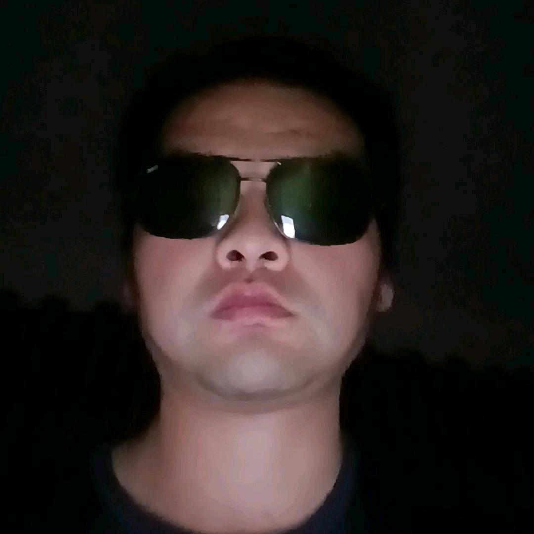 清风上南枝