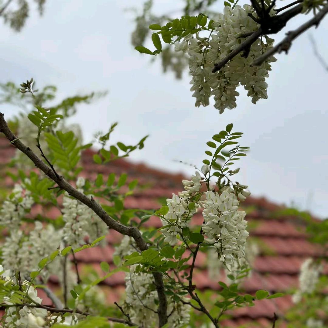 用户3640582195190阳光