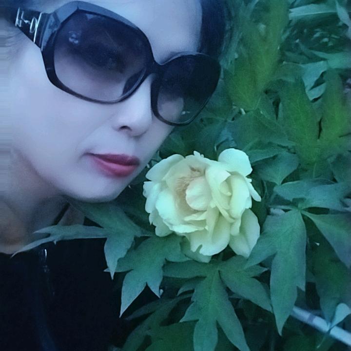 蒲城萍姐殡葬主持