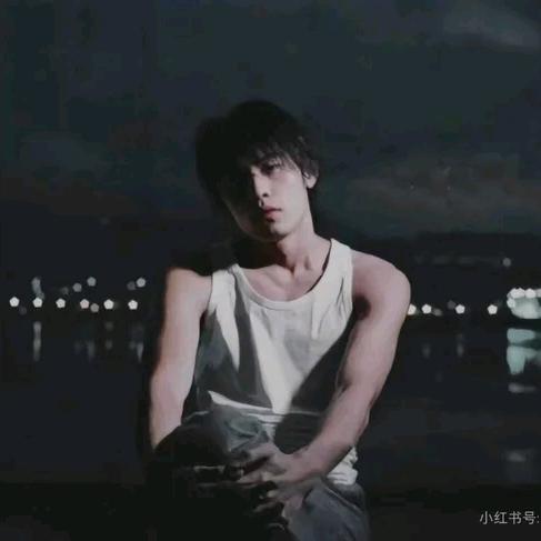 lolm盖伦王