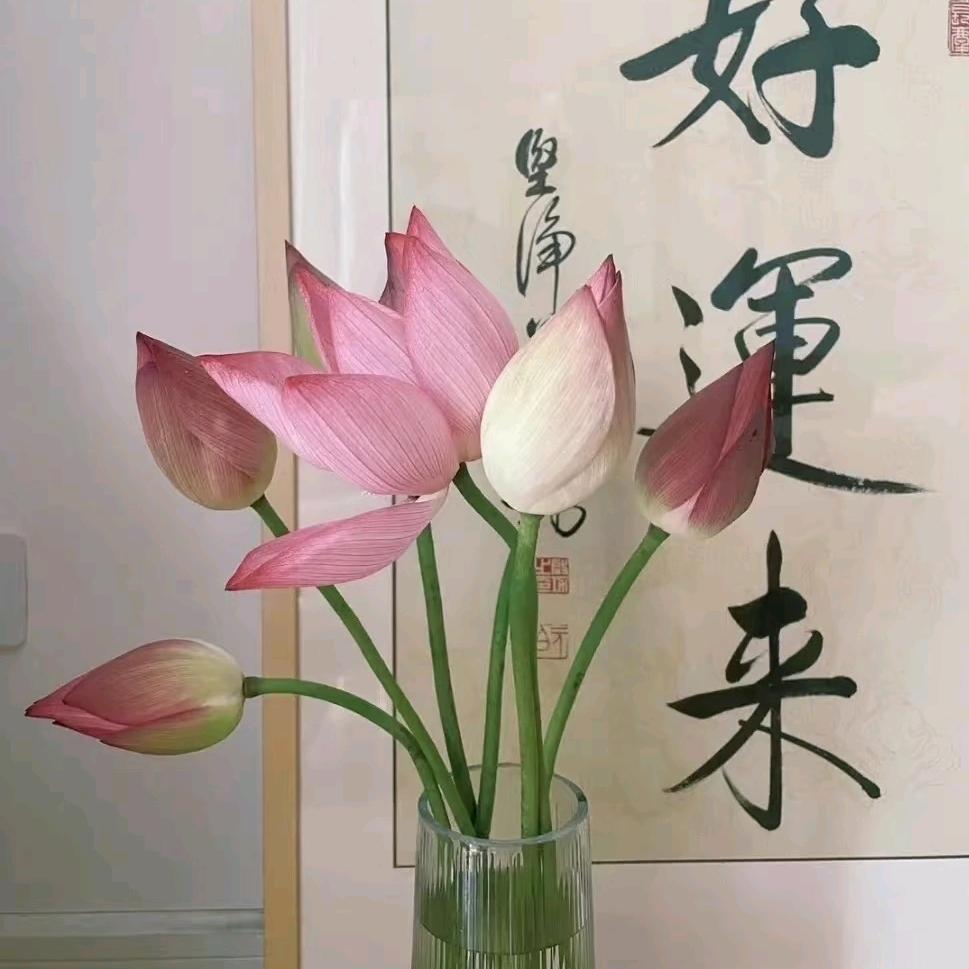 永州高阳钟老师