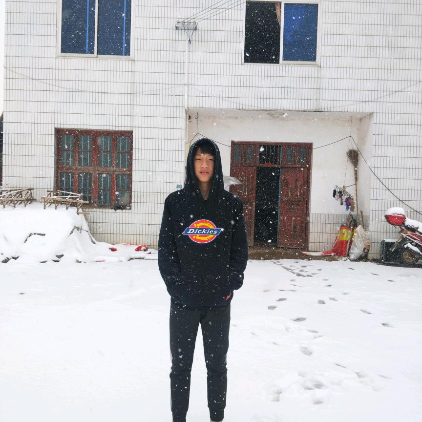 在人间摸鱼的日子