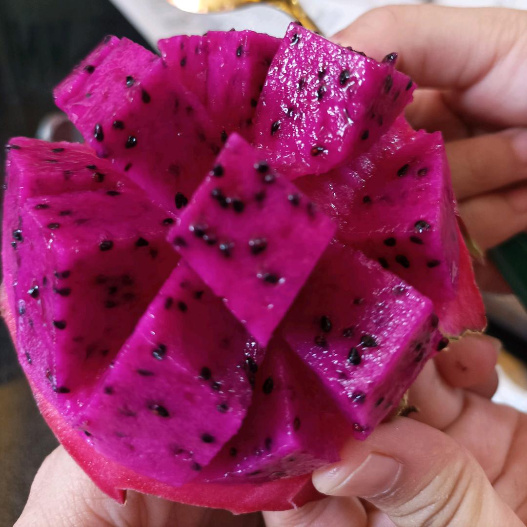 火龙果妹妹