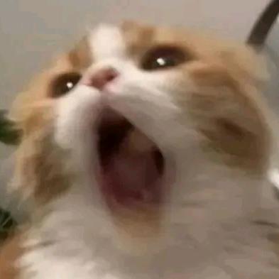 转生成幸福小猫