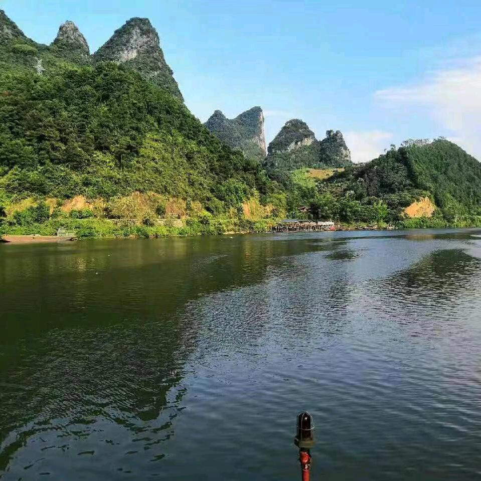 杨姐加油