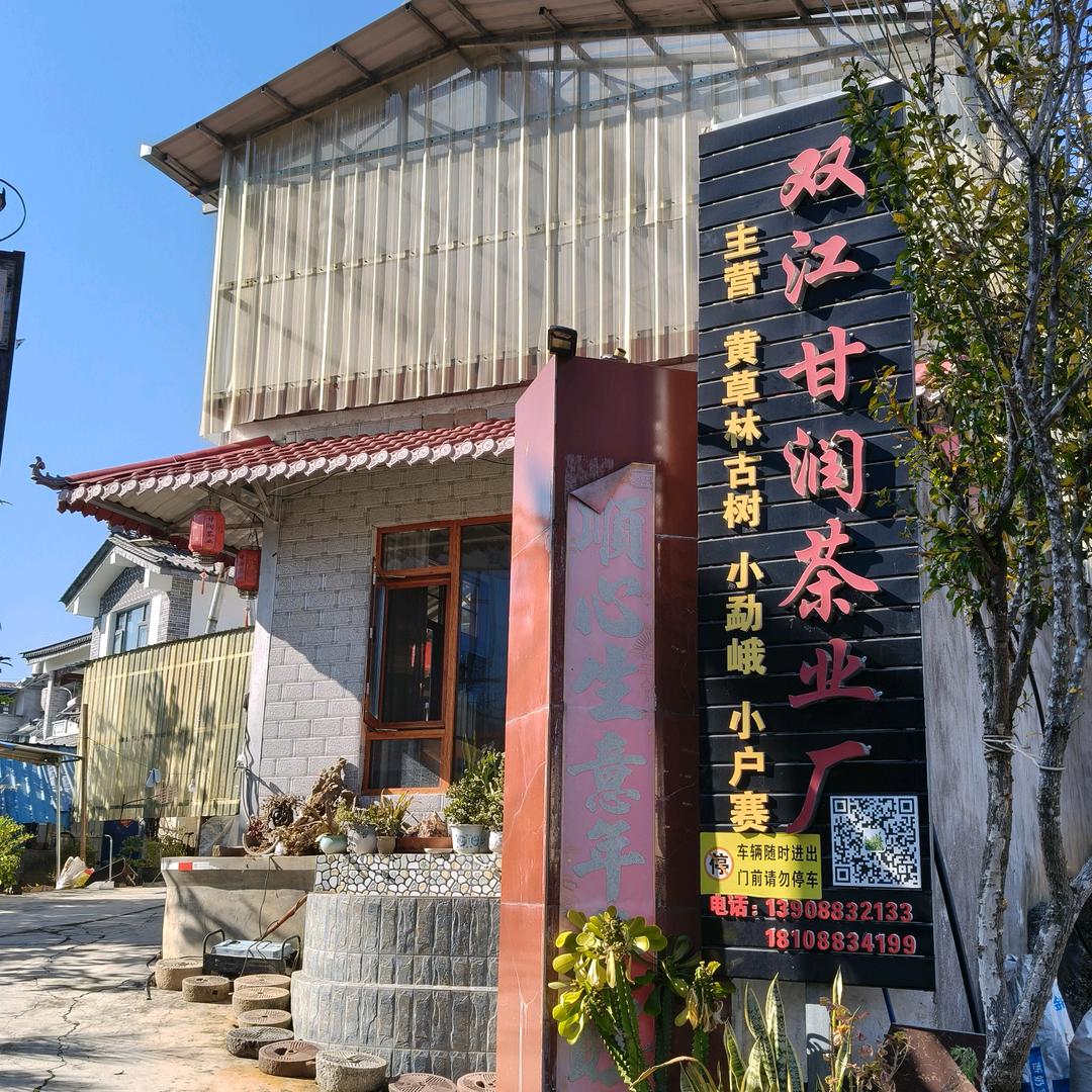 黄草林古树茶1组40号纯手工茶。