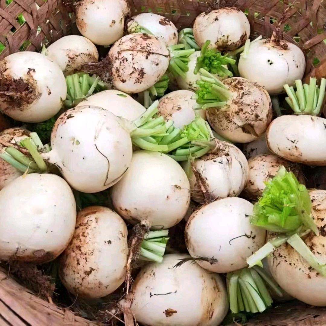 果然优品甄选