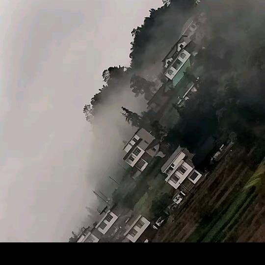 我老了