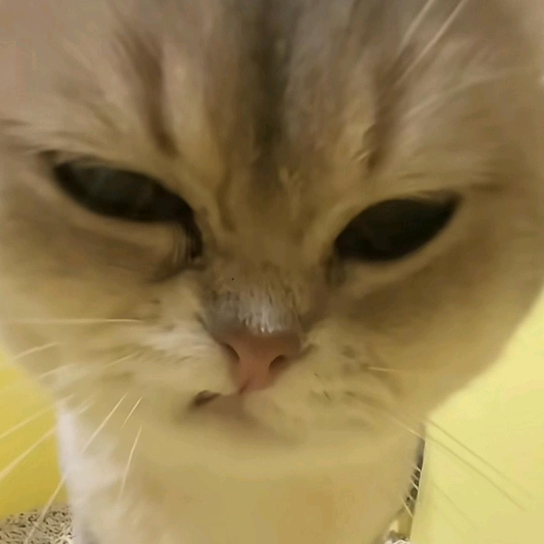 小滑稽